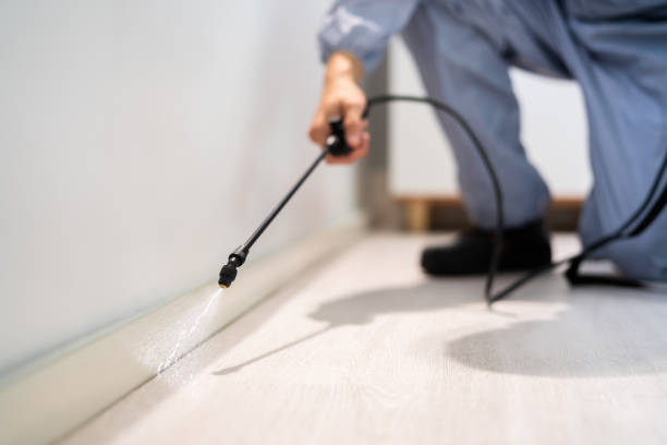 Certified termite inspector examining foundation in Hughson